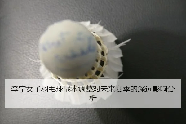 李宁女子羽毛球战术调整对未来赛季的深远影响分析